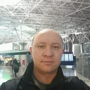 Nikolai, 44 года, Томск