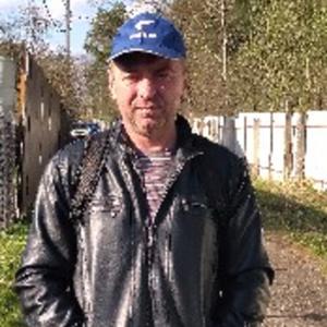 Михаил, 50 лет, Ногинск