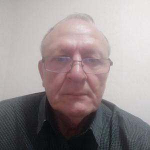 Петр Тростников, 64 года, Волгоград