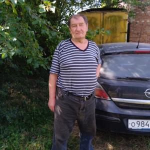 Владимир, 69 лет, Воронеж