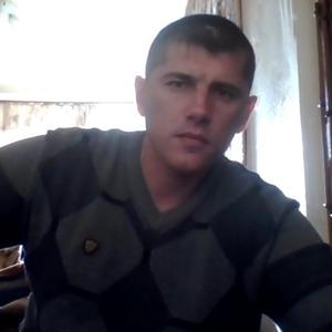 Дмитий, 43 года, Брянск