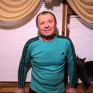 Николай, 64 года, Калининград