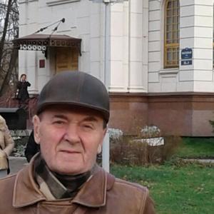 Владимир Иванов, 78 лет, Санкт-Петербург