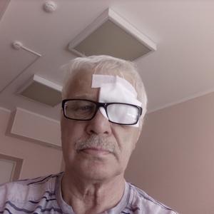 Евгений Комар, 70 лет, Новосибирск