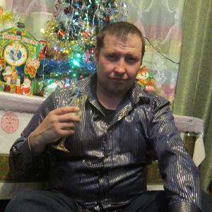 Алексей Поспелов, 46 лет, Покров