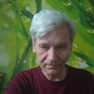 Vladas, 65 лет, Лянтор