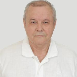 Серёга, 69 лет, Ростов-на-Дону