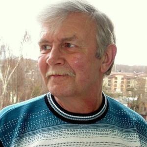 Василий, 72 года, Санкт-Петербург