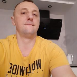 Сергей, 45 лет, Брест