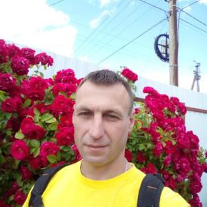 Владимир, 43 года, Брянск