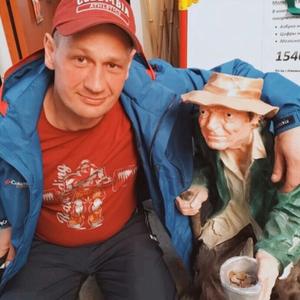 Дмитрий, 42 года, Нижний Тагил