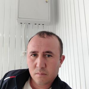 Хафиз, 33 года, Новосибирск