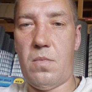 Александр, 42 года, Рязань