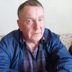 Николай, 75 лет, Упорово