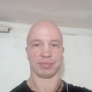 Алексей, 45 лет, Скопин