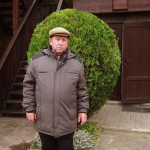 Валера, 75 лет, Ярославль