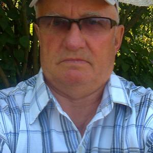 Николай Мистюков, 75 лет, Москва