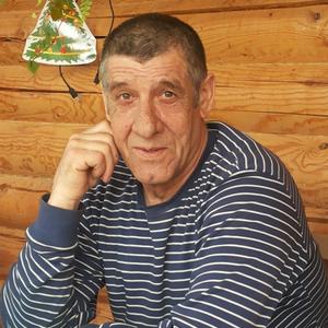 Владимир, 67 лет, Малоярославец