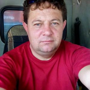Михаил Мехайлов, 46 лет, Ростов-на-Дону
