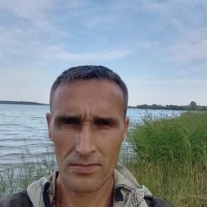 Александр, 38 лет, Волхов