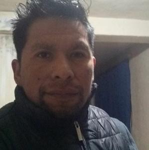 Pepegomez, 40 лет, Toluca