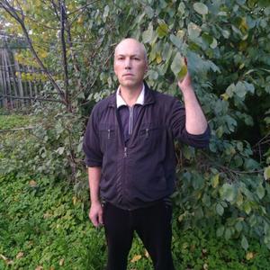 Сергей Быстров, 54 года, Нижний Новгород
