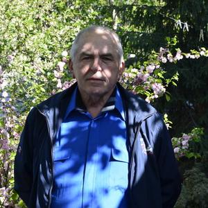 Evgen, 72 года, Киев