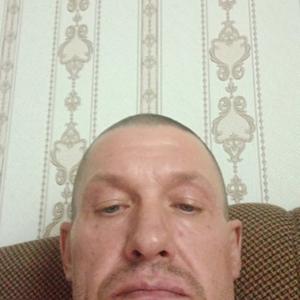 Александр Майоров, 46 лет, Кингисепп