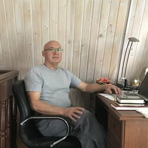 Владимир Николаев, 73 года, Москва