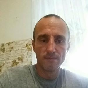 Василий, 43 года, Брянск
