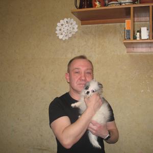 Денисыч, 49 лет, Электросталь