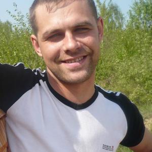 Парни в Коломне: Сергей Фомин, 43 - ищет девушку из Коломны