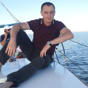 Шарапов, 33 года, Брянск