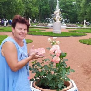 Екатерина Михайлов Булгакова, 54 года, Коломна