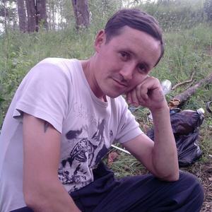 Дмитрий Григорьев, 43 года, Чайковский
