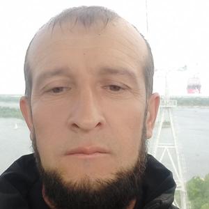 Бек, 38 лет, Нижний Новгород