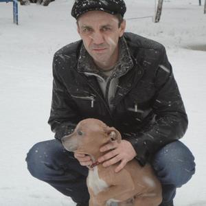 Сергей Молофеев, 52 года, Волгоград