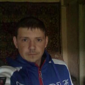 Вадим Вихарев, 35 лет, Тула