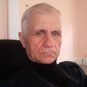 Владимир, 71 год, Красноярск
