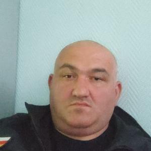 Барс, 38 лет, Донецк