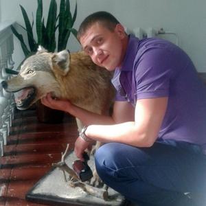 Николай, 34 года, Архангельск