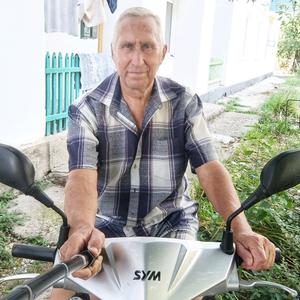 Николай, 78 лет, Анапа