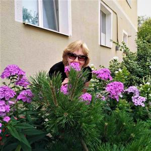 Елена, 63 года, Минск