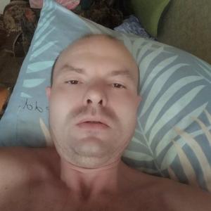 Александр Николаев, 42 года, Кимовск