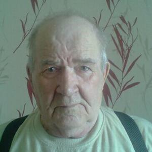 Владимир, 83 года, Челябинск