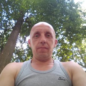 Алексей, 43 года, Щелково
