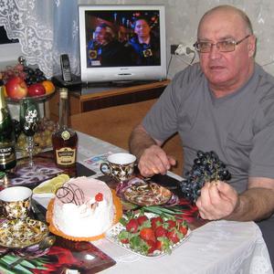Сергей Газизов, 75 лет, Москва