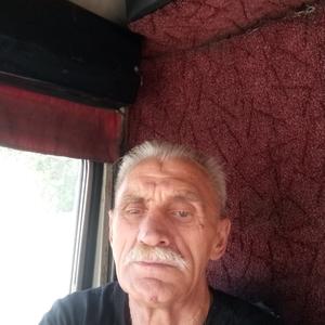 Толя, 66 лет, Новосибирск