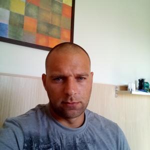 Николай Пикалов, 39 лет, Михнево