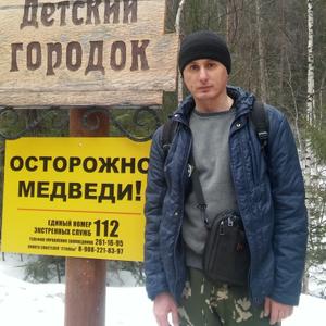 Евгений, 43 года, Красноярск